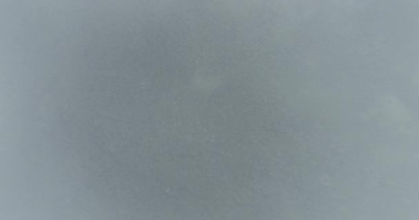 Nubi Nebbia Pineta Discendente Aerea Vista Dall Alto Drone Video — Video Stock