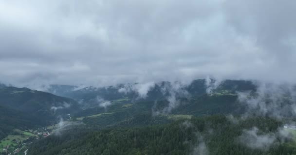 Сосновый Лес Туман Облака Спускающиеся Воздушный Вид Сверху Беспилотник Видео — стоковое видео