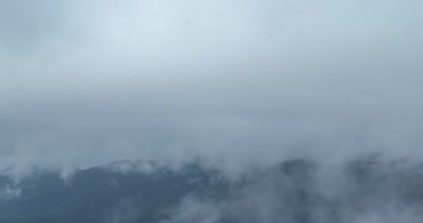 Nuages Brouillard Forêt Pins Descendant Vue Aérienne Dessus Drone Vidéo — Video