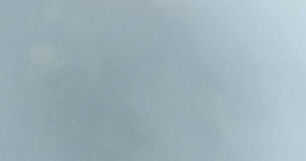 Сосновий Ліс Туман Хмари Вниз Повітряний Вигляд Безпілотник Відео Високоякісні — стокове відео