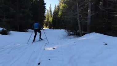 Bir atlet, güzel bir sabah karlı bir yolda çıplak ağaçların arasında kayak sporu yapar. Yüksek kalite 4K İHA görüntüleri