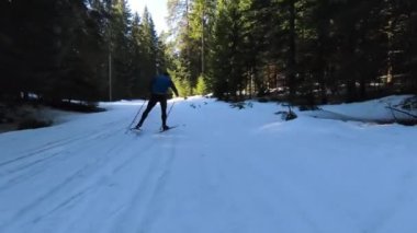 Bir atlet, güzel bir sabah karlı bir yolda çıplak ağaçların arasında kayak sporu yapar. Yüksek kalite 4K İHA görüntüleri