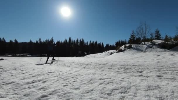 Bir Atlet Güzel Bir Sabah Karlı Bir Yolda Çıplak Ağaçların — Stok video