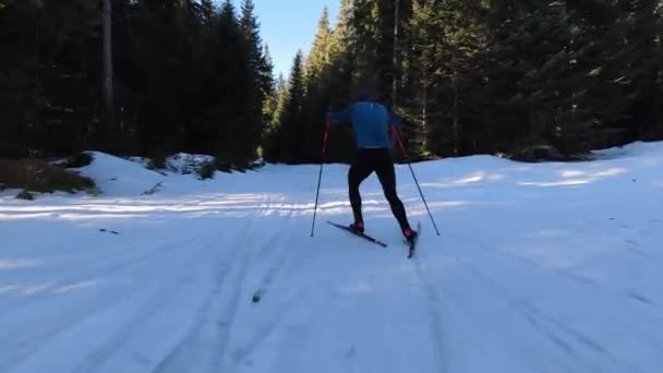 Atleta Hace Ejercicio Esquí Fondo Una Hermosa Mañana Largo Pista — Vídeo de stock