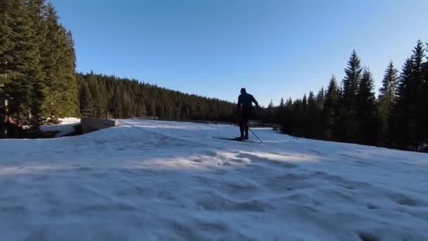 Atleta Hace Ejercicio Esquí Fondo Una Hermosa Mañana Largo Pista — Vídeos de Stock