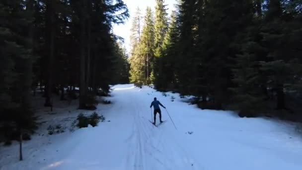 선수가 배경으로 나무들 사이의 눈덮인 산길을 아름다운 연습하고 고품질 — 비디오