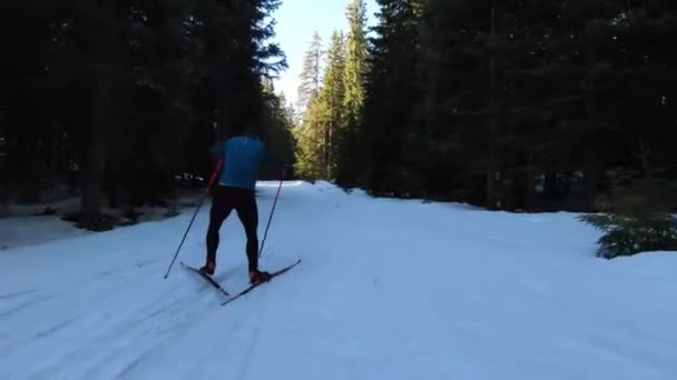 Sportowiec Trening Narciarstwa Biegowego Piękny Poranek Wzdłuż Śnieżnego Toru Wśród — Wideo stockowe