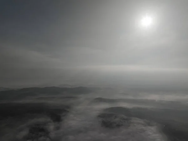 Αεροπλάνο Drone Ομιχλώδη Ομίχλη Φυσάει Πάνω Από Πευκοδάσος Ένα Όμορφο — Φωτογραφία Αρχείου