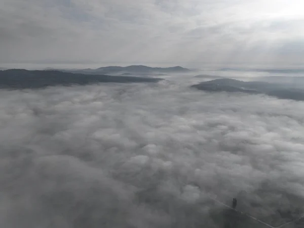 Nagranie Lotu Drona Mglistej Mgły Wiejącej Nad Lasem Sosnowym Piękny — Zdjęcie stockowe