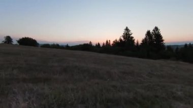 Arka planda güzel bir günbatımı olan güzel çam ağaçları ile tepenin üzerinden hızlı ve manevra yapılabilir bir uçuş. FPV insansız hava aracı ile çekildi. Yüksek kalite 4k görüntü
