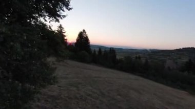 Arka planda güzel bir günbatımı olan güzel çam ağaçları ile tepenin üzerinden hızlı ve manevra yapılabilir bir uçuş. FPV insansız hava aracı ile çekildi. Yüksek kalite 4k görüntü