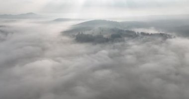 Güzel bir sabahta çam ağacı ormanında esen sisli sisli hava aracı görüntüleri. Dağ tepelerindeki çam ağaçlarının hava görüntüleri. Uzaydaki doğal arkaplanı kopyala Merhaba kaliteli 4K video