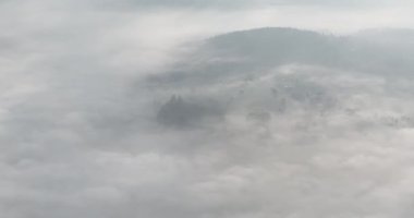 Güzel bir sabahta çam ağacı ormanında esen sisli sisli hava aracı görüntüleri. Dağ tepelerindeki çam ağaçlarının hava görüntüleri. Uzaydaki doğal arkaplanı kopyala Merhaba kaliteli 4K video