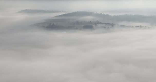 美しい朝に松の木の森の上に吹いて霧霧の空中ドローン映像 山の丘の上にスプルースの森の木の空中映像 自然背景をコピーします 高品質4Kビデオ — ストック動画