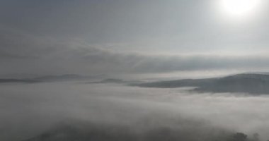 Güzel bir sabahta çam ağacı ormanında esen sisli sisli hava aracı görüntüleri. Dağ tepelerindeki çam ağaçlarının hava görüntüleri. Uzaydaki doğal arkaplanı kopyala Merhaba kaliteli 4K video