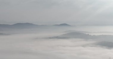 Güzel bir sabahta çam ağacı ormanında esen sisli sisli hava aracı görüntüleri. Dağ tepelerindeki çam ağaçlarının hava görüntüleri. Uzaydaki doğal arkaplanı kopyala Merhaba kaliteli 4K video