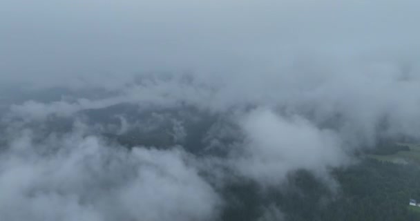 Regnigt Väder Bergen Dimma Som Blåser Över Tallskogen Flygbilder Granskogsträd — Stockvideo