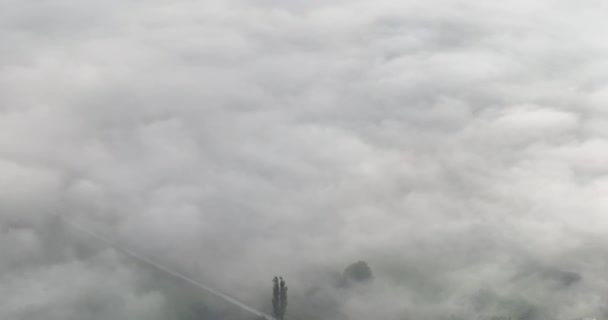 Drohnenaufnahmen Von Nebelverhangenem Nebel Der Einem Schönen Morgen Über Den — Stockvideo