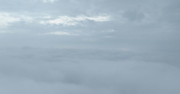 Météo Pluvieuse Montagne Brouillard Brumeux Soufflant Sur Forêt Pins Images — Video