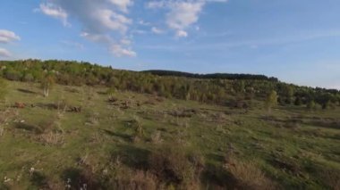 Arka planda güzel bir günbatımı olan orman ve ağaç tepeleriyle tepenin üzerinden hızlı ve manevra yapılabilir bir uçuş. FPV insansız hava aracı ile çekildi. Yüksek kalite 4k görüntü