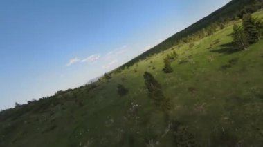 Arka planda güzel bir günbatımı olan orman ve ağaç tepeleriyle tepenin üzerinden hızlı ve manevra yapılabilir bir uçuş. FPV insansız hava aracı ile çekildi. Yüksek kalite 4k görüntü