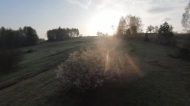 Arka planda güzel bir günbatımı olan orman ve ağaç tepeleriyle tepenin üzerinden hızlı ve manevra yapılabilir bir uçuş. FPV insansız hava aracı ile çekildi. Yüksek kalite 4k görüntü