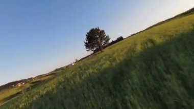 Arka planda güzel bir günbatımı olan güzel çam ağaçları ile tepenin üzerinden hızlı ve manevra yapılabilir bir uçuş. FPV insansız hava aracı ile çekildi. Yüksek kalite 4k görüntü