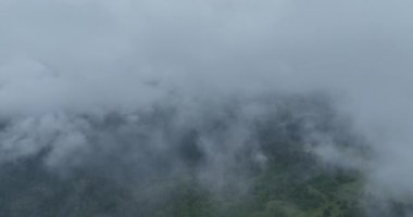 Dağlarda yağışlı hava. Çam ağacı ormanında sisli bir sis esiyor. Sisli bir günde dağ tepelerindeki ladin ormanlarının hava görüntüleri. Güzel ormanda sabah sisi. Merhaba kaliteli 4K video