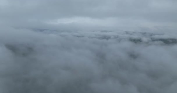 Regenachtig Weer Bergen Misty Mist Waait Dennenbos Luchtbeelden Van Sparrenbossen — Stockvideo