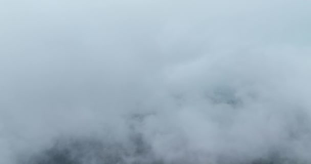 山上多雨的天气 云雾吹过松树林 多雾的日子里 山上云杉林的空中摄像 美丽森林的晨雾 高质4K视频 — 图库视频影像