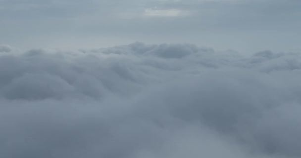 Tempo Piovoso Montagna Nebbia Nebbia Che Soffia Sulla Pineta Filmato — Video Stock