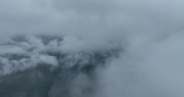 Dağlarda yağışlı hava. Çam ağacı ormanında sisli bir sis esiyor. Sisli bir günde dağ tepelerindeki ladin ormanlarının hava görüntüleri. Güzel ormanda sabah sisi. Merhaba kaliteli 4K video