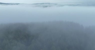 Dağlarda yağışlı hava. Çam ağacı ormanında sisli bir sis esiyor. Sisli bir günde dağ tepelerindeki ladin ormanlarının hava görüntüleri. Soyut kopyalama alanı doğal arkaplan. Merhaba kalite 4K