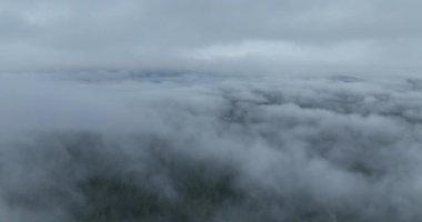 Dağlarda yağışlı hava. Çam ağacı ormanında sisli bir sis esiyor. Sisli bir günde dağ tepelerindeki ladin ormanlarının hava görüntüleri. Soyut kopyalama alanı doğal arkaplan. Merhaba kalite 4K