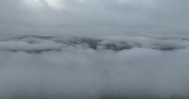 Dağlarda yağışlı hava. Çam ağacı ormanında sisli bir sis esiyor. Sisli bir günde dağ tepelerindeki ladin ormanlarının hava görüntüleri. Soyut kopyalama alanı doğal arkaplan. Merhaba kalite 4K