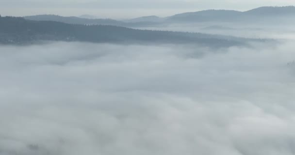 在一个美丽的早晨 空中无人侦察机拍摄的云雾在松树林上空飘扬的镜头 高山上云杉森林树木的空中摄像 复制空间自然背景 高质4K视频 — 图库视频影像