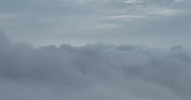 Дождливая Погода Горах Туман Над Сосновым Лесом Воздушные Кадры Еловых — стоковое видео