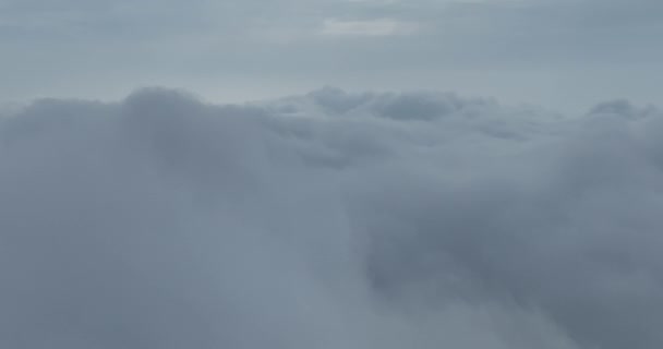Regenwetter Den Bergen Nebelschwaden Wehen Über Den Kiefernwald Luftaufnahmen Von — Stockvideo