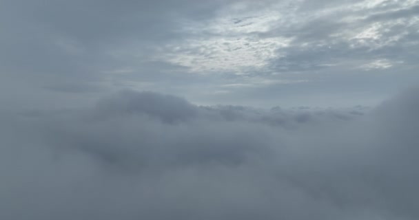 Rainy Weather Mountains Misty Fog Blowing Pine Tree Forest Aerial — Stock Video