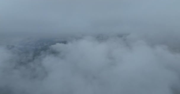 Clima Lluvioso Montañas Niebla Brumosa Que Sopla Sobre Bosque Pinos — Vídeos de Stock