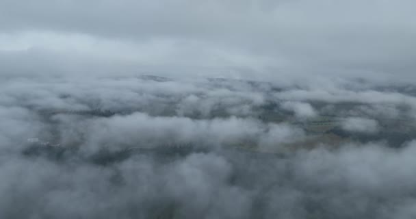 山の中で雨の天気 霧の霧が松の木の森の上を吹いている 霧の日に山の丘の上にトウヒの森の木の空中映像 アブストラクトコピースペース自然背景 ハイクオリティ4K — ストック動画