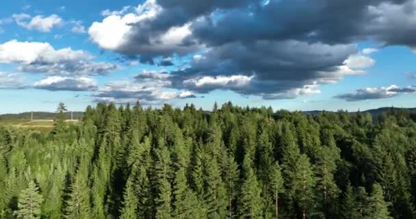 Panorama Över Vacker Natur Romantik Solig Eftermiddag Underbart Vårlandskap Fjällen — Stockvideo