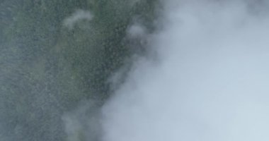 Dağlarda yağışlı hava. Çam ağacı ormanında sisli bir sis esiyor. Sisli bir günde dağ tepelerindeki ladin ormanlarının hava görüntüleri. Güzel ormanda sabah sisi. Merhaba kaliteli 4K video