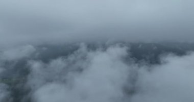 Dağlarda yağışlı hava. Çam ağacı ormanında sisli bir sis esiyor. Sisli bir günde dağ tepelerindeki ladin ormanlarının hava görüntüleri. Güzel ormanda sabah sisi. Merhaba kaliteli 4K video