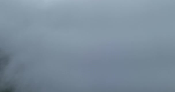 Sateinen Sää Vuorilla Sumua Puhaltaa Mäntymetsän Yllä Aerial Kuvamateriaalia Kuusen — kuvapankkivideo