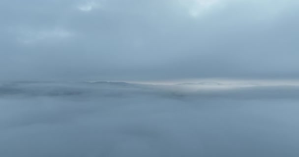 山上多雨的天气 云雾吹过松树林 多雾的日子里 山上云杉林的空中摄像 摘要复制空间自然背景 高质4K — 图库视频影像