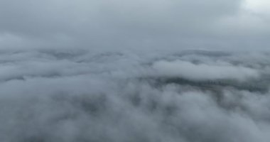 Dağlarda yağışlı hava. Çam ağacı ormanında sisli bir sis esiyor. Sisli bir günde dağ tepelerindeki ladin ormanlarının hava görüntüleri. Soyut kopyalama alanı doğal arkaplan. Merhaba kalite 4K