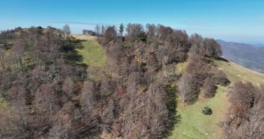 Romanya 'nın güzel kırsal kesiminin manzarası. Güneşli bir öğleden sonra. Dağlardaki harika bahar manzarası. Çimen tarlaları ve yuvarlanan tepeler. kırsal manzara