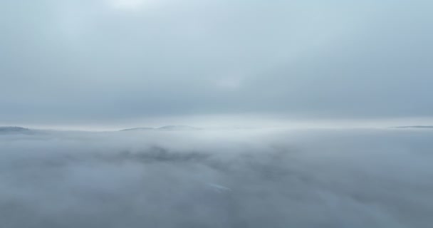 山上多雨的天气 云雾吹过松树林 多雾的日子里 山上云杉林的空中摄像 摘要复制空间自然背景 高质4K — 图库视频影像