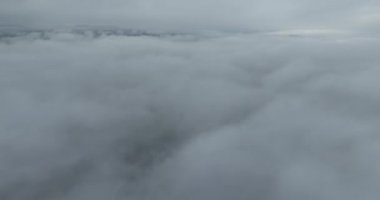 Dağlarda yağışlı hava. Çam ağacı ormanında sisli bir sis esiyor. Sisli bir günde dağ tepelerindeki ladin ormanlarının hava görüntüleri. Soyut kopyalama alanı doğal arkaplan. Merhaba kalite 4K